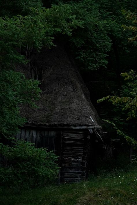 Old cabin in the woods Old Shack In The Woods, Old Wooden Cabin, Abandoned Cabin In The Woods, Cabins In The Woods Interior, Old Log Cabin, Camping Ground, Old Cabin, Wooden Hut, Creepy Houses