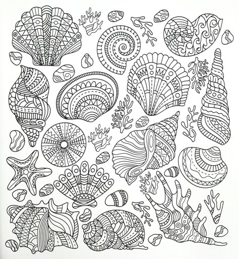 Seashells adult coloring page Ocean Mandala Coloring Page, Coastal Coloring Pages, Shells Coloring Pages, Ocean Coloring Pages For Adults, Shell Coloring Pages, Seashell Coloring Pages, Seashell Mandala, Sea Coloring Pages, Printable Fish