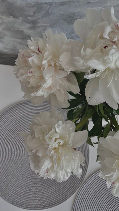 White Peony Aesthetic, Peony Aesthetic Wallpaper, White Peonies Aesthetic, Peony Aesthetic, White Peonies Bouquet, Piatra Neamt, Peony White, Flower Perfume, Peony Wallpaper