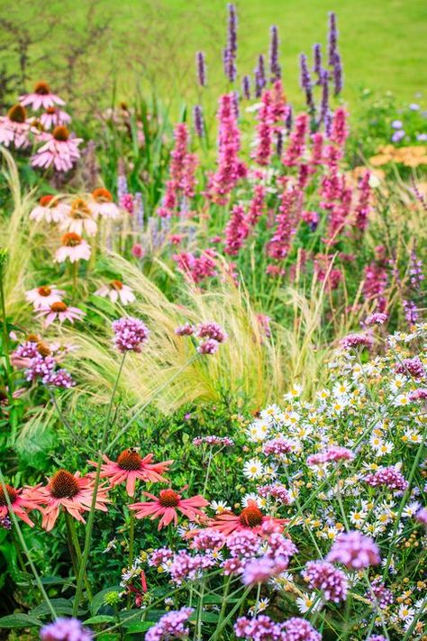 Patio Garden Bed, Hydrangea Aesthetic, Spring Bulbs Garden, Hillside Pool, Greens Garden, Cottage Garden Borders, Pool Bed, Garden River, Ornamental Garden