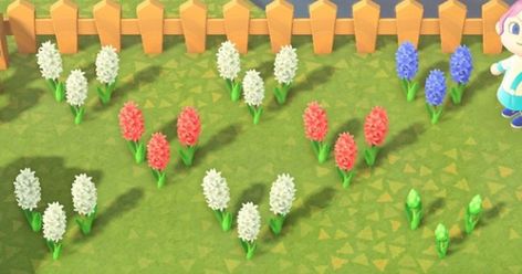 Check out how to get & breed all Hyacinth colors in Animal Crossing: New Horizons Switch (ACNH). Includes how to breed and get hybrid flowers, hybrid Hyacinth, and more. Acnh Hyacinth Guide, Animal Crossing Hyacinth, Flower Animal Crossing, Red Hyacinth, Hybrid Flowers, Pink Hyacinth, Hyacinth Flower, Hyacinth Flowers, Acnh Design