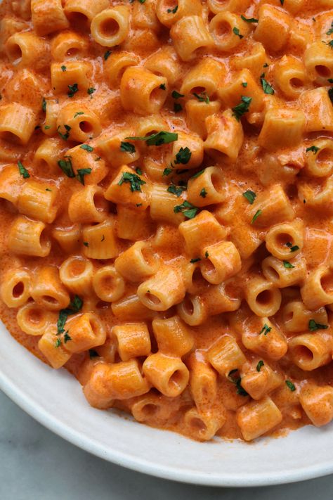 Spicy Ditalini alla Vodka Recipes With Ditalini Pasta, Pasta Table, Spicy Vodka Sauce, Winter Pasta, Vodka Sauce Recipe, Ditalini Pasta, Calabrian Chili, Alla Vodka, Easy Peasy Recipes