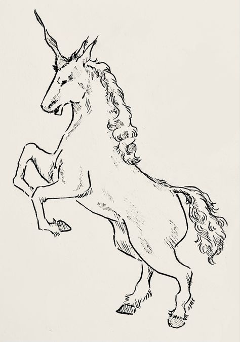 Unicorn Line Drawing, Unicorn Drawing, Tattoo Desings, Horse Tattoo, Contour Drawing, Horse Drawing, Horse Drawings, Art Things, Tat Ideas