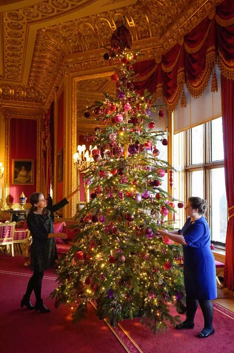 Buckingham Palace Christmas, Nordmann Fir Christmas Tree, Luxury Christmas Decor, Castle Christmas, International Interior Design, Castle Decor, Royal Christmas, Fir Christmas Tree, Traditional Colonial