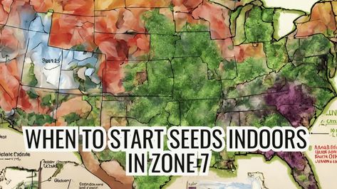 Seed Starting Schedule, Starting Flowers From Seeds, When To Start Seeds Indoors, When To Start Seeds, Start Seeds Indoors, September Flowers, Zone 7, Starting Seeds Indoors, Growing Veggies