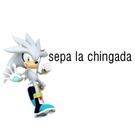 sepa la chingada Real Memes, Classic Sonic, Silver The Hedgehog, Sonic 3, Sonic Boom, Sonic Characters, Memes Random, Memes Xd, The Hedgehog