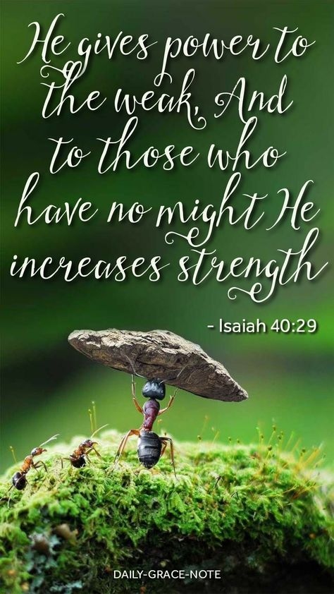 Greater Is He That Is In Me Scriptures, Isaiah 40 29, Isaiah 29, Galatians 5 16, Inspirational Relationship Quotes, Bible Journal Notebooks, Inspirational Quotes For Teens, Jehovah Quotes, Bybel Verse