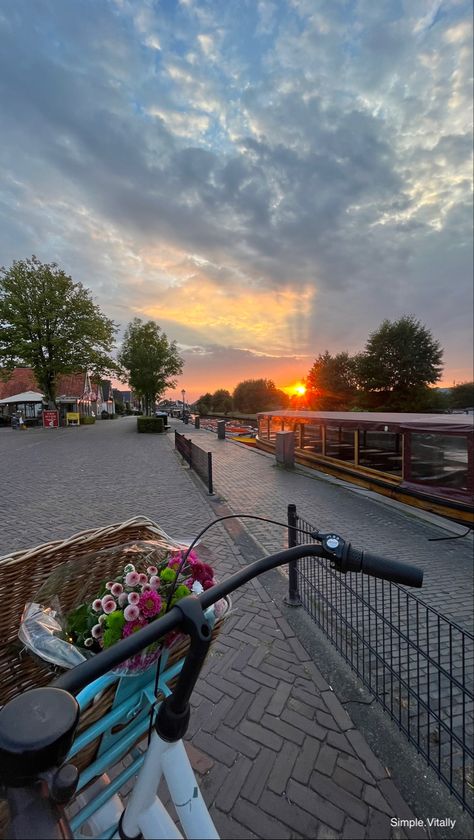 Sunset Bikeride Bike netherland flowers Clouds sky sun Golden hour Sunset Bike Ride, Missing Home, Ride A Bike, Watch The Sunset, Summer Bucket Lists, Summer Bucket, The Sunset, Bike Ride, Golden Hour