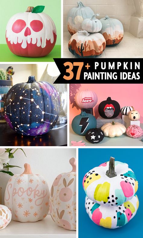 These super creative pumpkin painting ideas and other no-carve pumpkin decorating ideas are perfect for Halloween. So many beautiful, clever, fun and trendy pumpkin painting ideas! Spiders Painted On Pumpkins, Paint And Carve Pumpkin Ideas Easy, Paint Pumkins Ideas Cute, Carve And Paint Pumpkins, Brown Cow Pumpkin Painting, Step By Step Painting Pumpkins, Painted Skeleton Pumpkin, What To Paint On My Pumpkin, Doughnut Pumpkin Painting