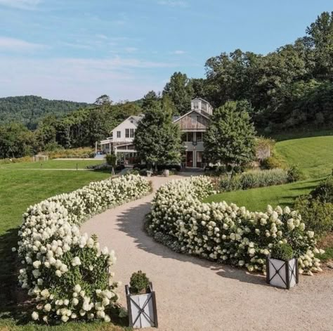 Limelight Hydrangeas, Adventure Wedding Photography, Limelight Hydrangea, North Garden, Growing Hydrangeas, Wine Trail, Better Homes And Garden, Home Landscaping, Dream House Exterior