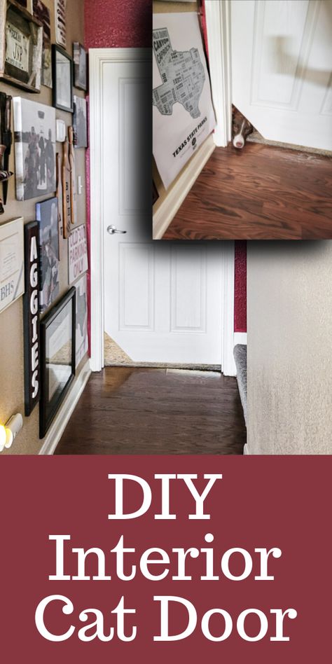 If you have cats, and especially if you have cats AND dogs, you probably relate to the need of an interior cat door. Personally, I have 3 cats and 3 dogs, so it’s basically a zoo around here… dogs chasing cats 24/7. Spoiler alert, the old stereotype is true. And because I do love my […] The post DIY Interior Cat Door appeared first on Salvaged Living. Diy Interior Cat Door, Dog Chasing Cat, Cat Door Diy, Interior Cat Door, Thrift Store Diy, Skill Saw, 3 Dogs, 3 Cats, Treasure Crafts