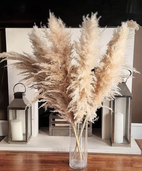 Pampas grass beige natural by loveproducts Ltd Perfect pampas for wooden floors and a country look . #pampasgrass #largepampasgrass #bohohome #beigepampas #homedecor #floralcenterpiece #buypampasgrass #pampassgrass #loveproductsltd # tallpampasgrass #pampasgrassdecor #driedpampasgrass Pampas Arrangement, Grass Decor, Pampas Grass Decor, Dried Bouquet, Cream Aesthetic, Boho Interiors, Vase Fillers, Boho Interior, Dried Flower Arrangements