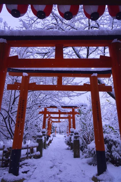 Kyoto Winter, China Aesthetic, Manga References, Kiyomizu Dera, Torii Gate, Japan Aesthetic, Best Seasons, Japan Style, Japan Fashion