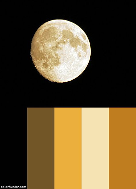 Best+Moon+Photo+Color+Scheme Full Moon Color Palette, Moon Color Pallete, Sun And Moon Color Palette, Moonlight Color Palette, Moon Colour Palette, Star Color Palette, Moon Color Palette, Photo Color Palette, Moon Palette