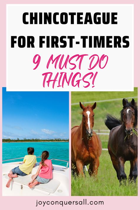 Planning a trip to Chincoteague? These are the absolute must-try things to do in Chincoteague. From pony tours to the best seafood spots, I’ve got you covered with practical tips and insider favorites. Click to make your trip unforgettable! Chincoteague Ponies, Chincoteague Island, East Coast Travel, Great Wolf Lodge, Kid Friendly Activities, Summer 2025, Holiday Baby, Boat Tours, Sandy Beaches