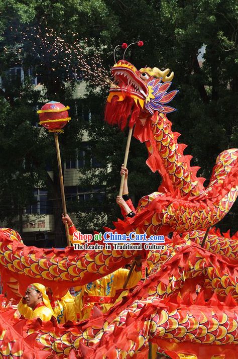 Happy Festival Celebration Dragon Dance Costumes Complete Set for Eight Adults Dragon Dance Costume, Chinese Dragon Dance, Chinese Celebrations, Dragon Chino, Beautiful Vietnam, Dragon Dance, Dragon Costume, Lion Dance, Japanese Dragon