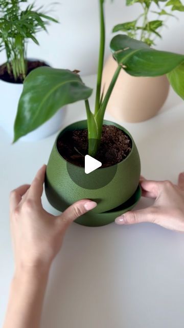 3d Printed Self Watering Planter, 3d Print Planter, Self Watering Pots, 3dprinting Design, Self Watering Planter, Print Ideas, Cotton String, Self Watering, Green Marble