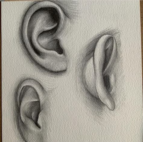 Ear Drawing Simple, Ear Sketch, Ears Drawing, Ear Shapes, Ear Drawing, Face Art Drawing, How To Draw Ears, Abstract Pencil Drawings, Ear Art