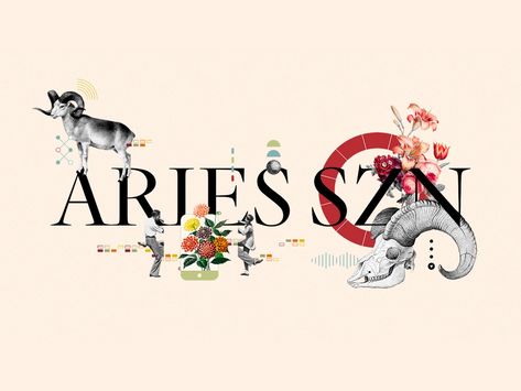 Aries Szn, Mars Symbol, Fire Signs, Natal Charts, Cat Lady, Fine Arts, Creative Professional, Snoopy, Graphic Design