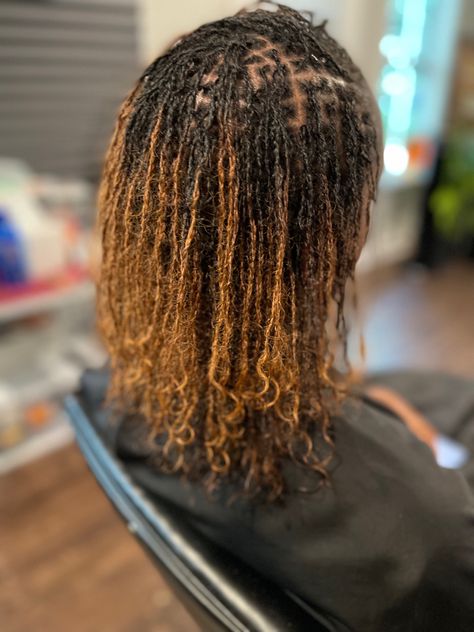 Locs #microloc #sistalocs Medium Microlocs, Fine Locs, Microlocs Inspiration, Microloc Journey, Sister Locks Hairstyles, Locks Styles, Locks Hairstyles, Colored Locs, Locs Journey