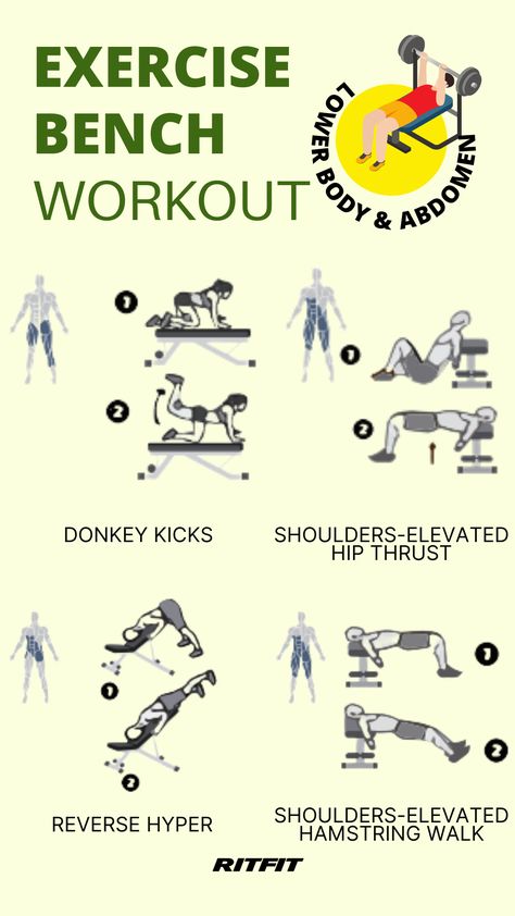 Workout Program | Weight Bench Workout pt4 | Lower Body & Abdomen Exercises Abdomen Exercises, Weight Bench Workout, Muscle Workouts, Exercise Abdomen, Core Muscle, Workout Gym Routine, Bench Workout, Weight Bench, Donkey Kicks