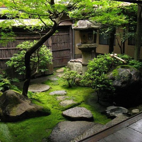 Backyard Japanese Garden, Gard Modern, Japanese Garden Backyard, Japanese Gardens Design Ideas, Small Japanese Garden, Japanese Garden Landscape, Zen Garden Design, Small Courtyard Gardens, Courtyard Gardens Design