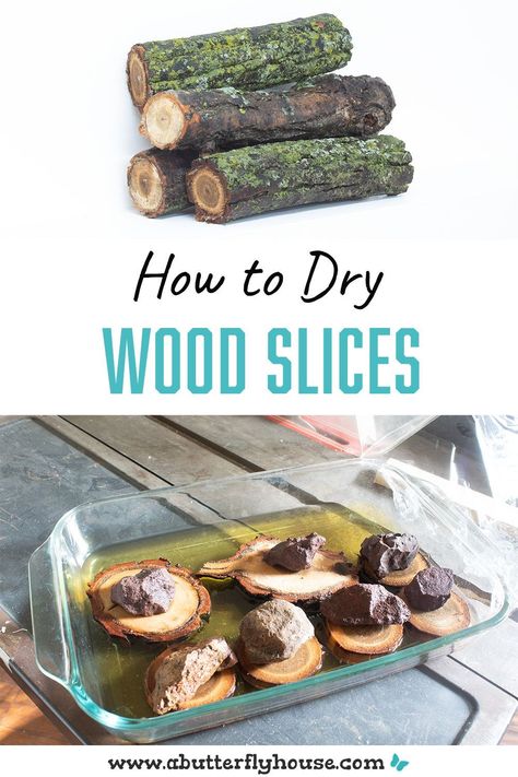 Wood slices are the perfect thing for holiday decor! Learn how to cut and dry them out with this quick and easy method! Tree Branch Slices Crafts, Preserve Wood Slices, How To Make Wood Slices, Preserving Wood Slices Diy, How To Treat Wood Slices, How To Dry Wood Slices In The Oven, Drying Wood Slices, Log Wood Ideas, Diy Log Crafts