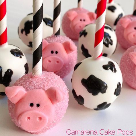 https://www.instagram.com/p/B8ewcoMHxmI/?igshid=1hg2jdjjom6p3 Farm Animal Desserts, Farm Cake Pops, Farm Animal Cake Pops, Rodeo Birthday Parties, Cow Cakes, Farm Themed Party, Pop Ideas, Chocolate Apples, Farm Cake