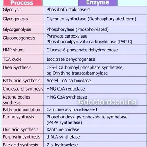 &brunchwithtii  Medical Doctor on Instagram: “The Rate Limiting Enzyme ❤️ . . . . @doctordconline  @doctordconline . . . #enzyme #biochemistry #chemistry #usmle #usmlestep1 #usmlestep2…” Biomedical Engineer, Biochemistry Notes, Teas Test, Abdominal Aorta, Clinical Chemistry, Chemistry Education, Medical Student Study, Exercise Physiology, Medical Laboratory Science