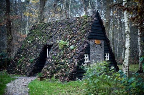 Turf A-frame in Ansen, Netherlands Turf Roof, Sheds Ideas Backyard, A Frame Cabins, Roofing Options, Green Facade, Barn Parties, Frame Cabin, Residential Roofing, Roof Architecture