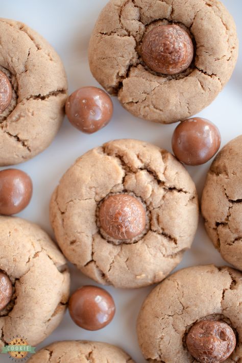 CHOCOLATE MALT COOKIES - Family Cookie Recipes Malt Balls Recipe, Malt Cookies, Malt Powder, Ball Cookies, Cookie Ingredients, New Desserts, Winter Cookies, Blossom Cookies, Double Chocolate Cookies