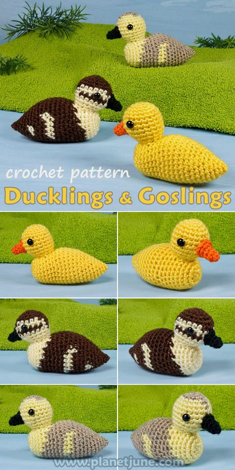 Two amigurumi ducklings with different markings and a gosling from the Ducklings and Goslings crochet pattern by PlanetJune Duckling Crochet Pattern, Duckling Crochet Pattern Free, Crochet Duckling Pattern Free, Duckling Crochet, Ducks And Geese, Crochet Bird, Crochet Bird Patterns, Crochet Market, Duck Bird