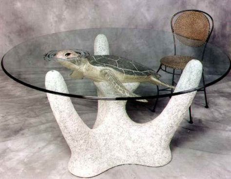 Animal Themed Furniture (49 photos) Turtle Table, Turtle Terrarium, Ocean Room Decor, Sea Turtle Pictures, Ocean Room, Turtle Decor, Turtle Love, Beachy Decor, Red Walls