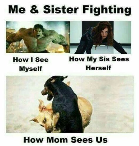 😂🤣😂😂 Funny Siblings Quote, Siblings Funny Quotes, Sibling Memes, Sibling Quotes, Broken Humor, Siblings Funny, Sister Quotes Funny, Teenage Posts, Very Funny Memes