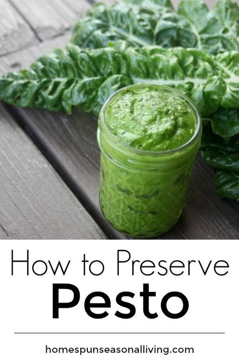 Canned Pesto Recipe, Canning Pesto, Diy Pesto, Storing Fresh Basil, Homesteading Food, Homemade Pesto Recipe, Homemade Pesto Sauce, Basil Pesto Recipes, Food Budget