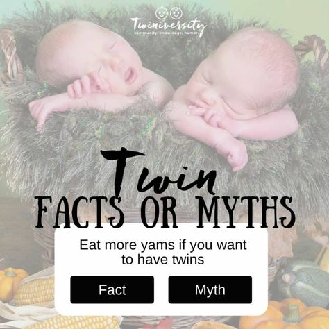 Twin Carrier, Birth Plan Checklist, Facts And Myths, Parenting Lessons, Preterm Labor, Pregnancy Checklist, Expecting Twins, Twin Pregnancy, Identical Twins