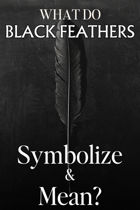 Black Feather Symbolism & Meaning (Knowledge & Wisdom) Black Feather Tattoo, Black Feather Meaning, Symbolism Meaning, Feather Symbolism, Feather Tattoo Meaning, Feather Meaning, Symbolic Representation, Feather Tattoo, Red Feather