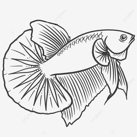 Betta Fish Clipart, Betta Fish Drawing, Beta Fish Drawing, Ballerina Coloring, Ballerina Coloring Pages, Drawing Fish, Fish Sketch, Fish Background, Betta Aquarium