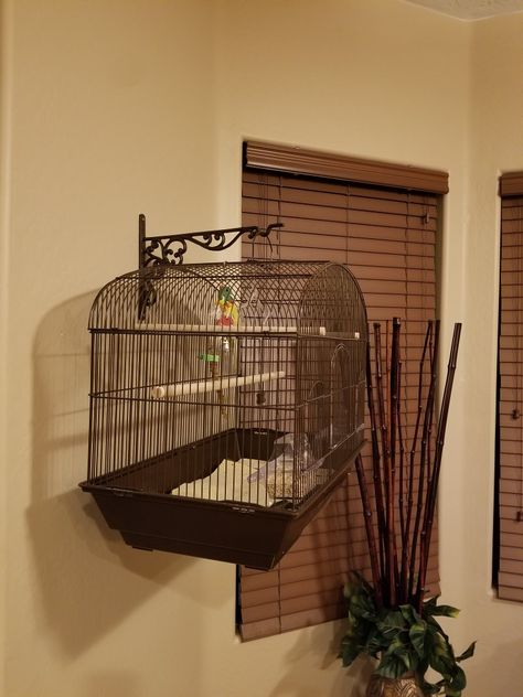 Bird Cage Pole Hanger, Giant Bird Cage, Bird Cages Aesthetic, Bird Cage Stand, Diy Bird Cage, Bird Cage Hanging Lamp, Hanging Bird Cage Pet, Pet Bird Cage, Hanging Bird Cage