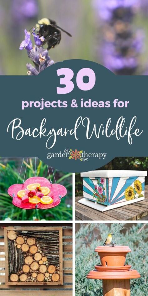 Backyard Wildlife Habitat Ideas, Backyard Habitat Ideas, Small Wildlife Garden Ideas, How To Attract Wildlife To Your Yard, Wildlife Habitat Projects, Wildlife Friendly Backyard, Sanctuary Garden Ideas, Wildlife Garden Ideas Uk, Certified Wildlife Habitat Yards