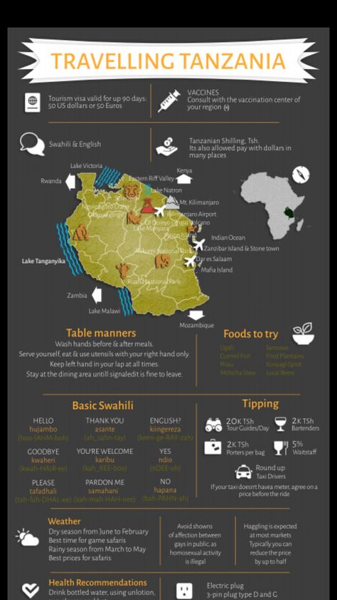 Must Know before travelling Tanzania Zanzibar Itinerary, Travel Tanzania, Africa Travel Beautiful Places, Africa Poster, Zanzibar Travel, Zimbabwe Africa, Safari Trip, Africa Vacation, Africa Trip