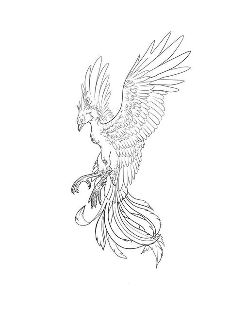 Phoenix Tattoo Stencil, Phoenix Outline, Phoenix Tattoo Sleeve, Tato Phoenix, Tattoo Stencil Designs, Phoenix Drawing, Small Phoenix Tattoos, 16 Tattoo, Becoming A Tattoo Artist