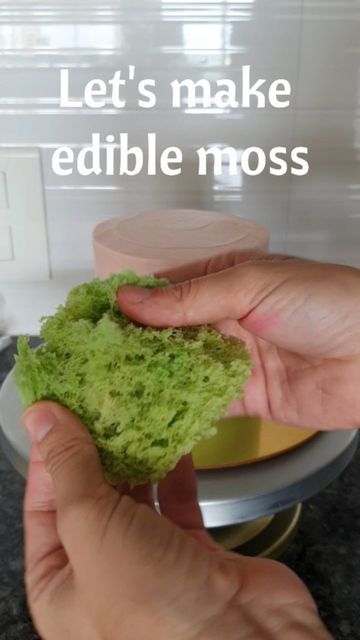 Cake Moss Tutorial, Moss For Cake, Edible Moss For Cakes, Edible Moss, Moss Cake, Grass Cake, Egg White Recipes, Inside Garden, Green Cake