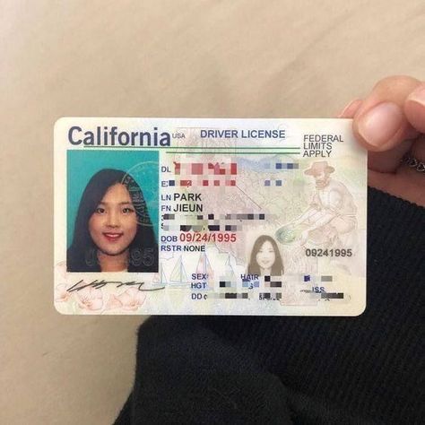 Fake Identity Card, Fake Identity, Passport Services, Whatsapp Text, Passport Card, Honeymoon Vacations, Theory Test, Id Card Template, Certificates Online