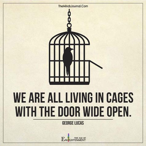 We Are All Living In Cages - https://themindsjournal.com/we-are-all-living-in-cages/ Bird Quotes, Life Philosophy, English Quotes, Reality Quotes, Note To Self, Beautiful Quotes, The Words, Wisdom Quotes, True Quotes