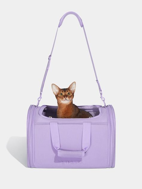 Cat Travel Violet Color Palette, Dog Travel Carrier, Kitten Accessories, Puppy Carrier, Pet Travel Carrier, Travel Chic, Travel Carrier, Pet Breeds, Cat Travel