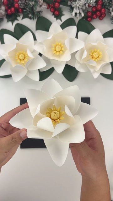 Hey, I’m Judy 👋🏻 Paper Flower Art + Tutorials on Instagram: "A few weeks ago I started playing around with a paper magnolia template, and honestly it’s been difficult capturing the beauty and simplicity of magnolia flowers. So here’s my attempt so far at some mini paper magnolias, just in time for the holidays! I am going for a much more simpler look in my holiday decor this year, and will be adding these magnolia flowers along with leaves to my wreaths and garlands. The hardest thing is taking cardstock and manipulating it in a way to resemble the soft and graceful curves of the magnolia petals in real life. I didn’t want to shape the petals with a shaping mat as it adds creases to the paper that isn’t present in real life - magnolias have that smooth texture to their petals. I think Magnolia Template, Tree Fancy Dress, Paper Magnolia, Southern Magnolia Tree, Southern Magnolia, Paper Flower Art, Magnolia Flowers, Magnolia Trees, Wreaths And Garlands