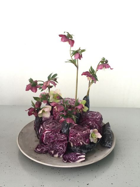 Cabbage Flowers, Jelly Flower, Floral Art Arrangements, Ikebana Arrangements, Object Photography, Flower Installation, Fall Table Settings, Autumn Table, Fruit And Veg