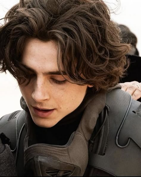 Paul Atreides, French Boys, Denis Villeneuve, Timmy T, Regulus Black, The Perfect Guy, Hot Actors, Timothee Chalamet, Celebrities Male