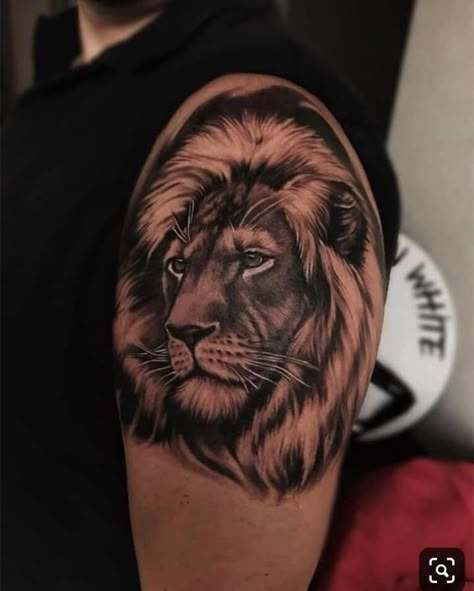 Lion Shoulder Tattoo Men, Lion Shoulder Tattoo, Lion Art Tattoo, Lioness Tattoo, Lion Tattoo Sleeves, Mens Lion Tattoo, Lion Tattoos, Lion Head Tattoos, Lion Tattoo Design